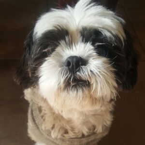 Meet your Posher, Lynette